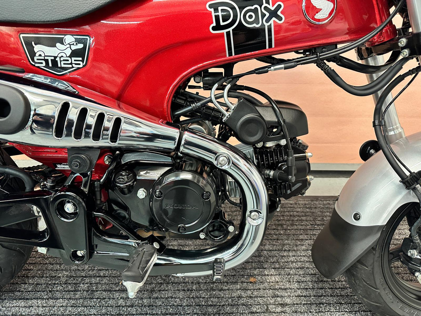 ST125 A-P DAX (125cc) 2023