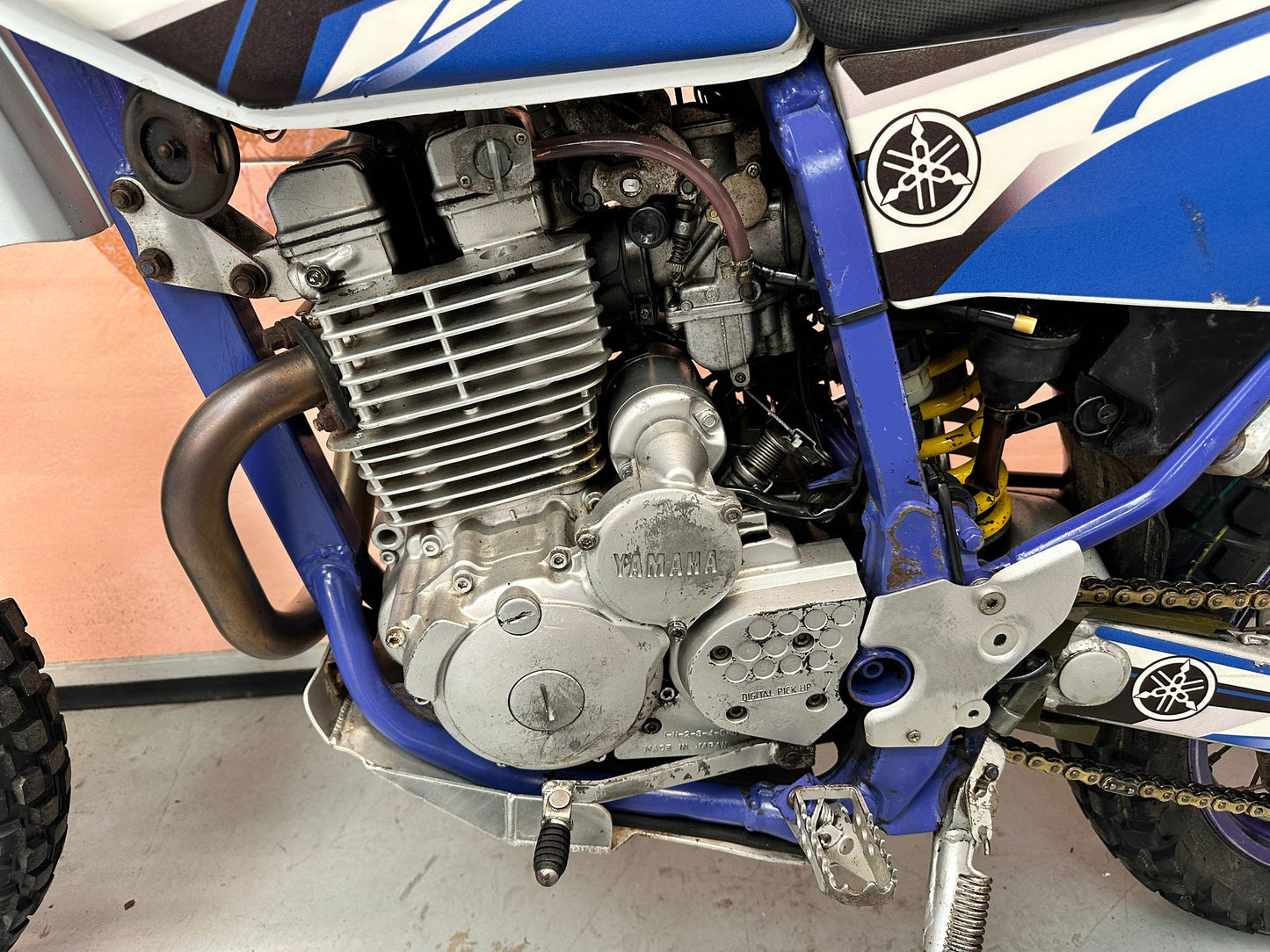 TTR (250cc) 1994