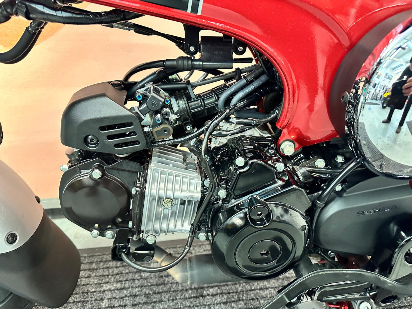 ST125 A-P DAX (125cc) 2023