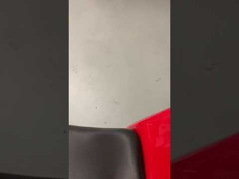 R80 G/S (1065cc) 1992 SWT 19 -  Rallye Bike