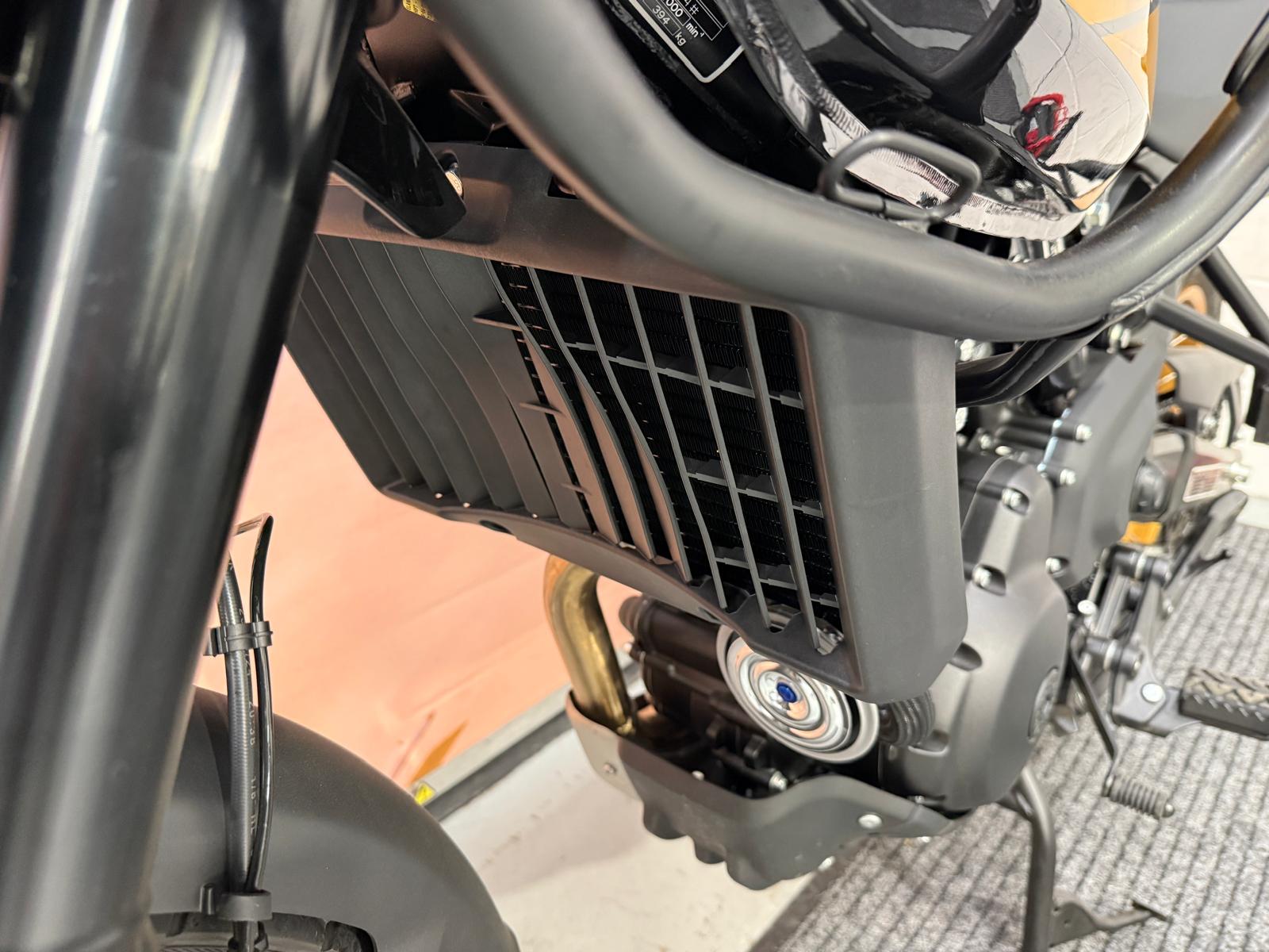Himalayan 450 (452cc) 2025