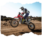 450 Rally EX (449cc) NEW