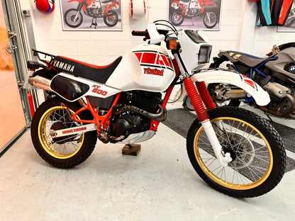 XT600 Tenere (595cc) 1984