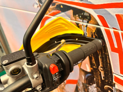 450 Rally Dakar Edition (449cc) NEW