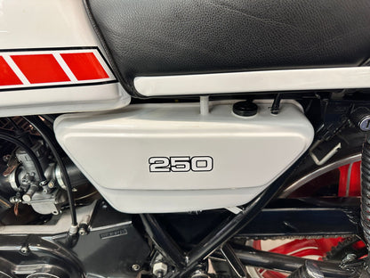 RD250 (247cc) 1980