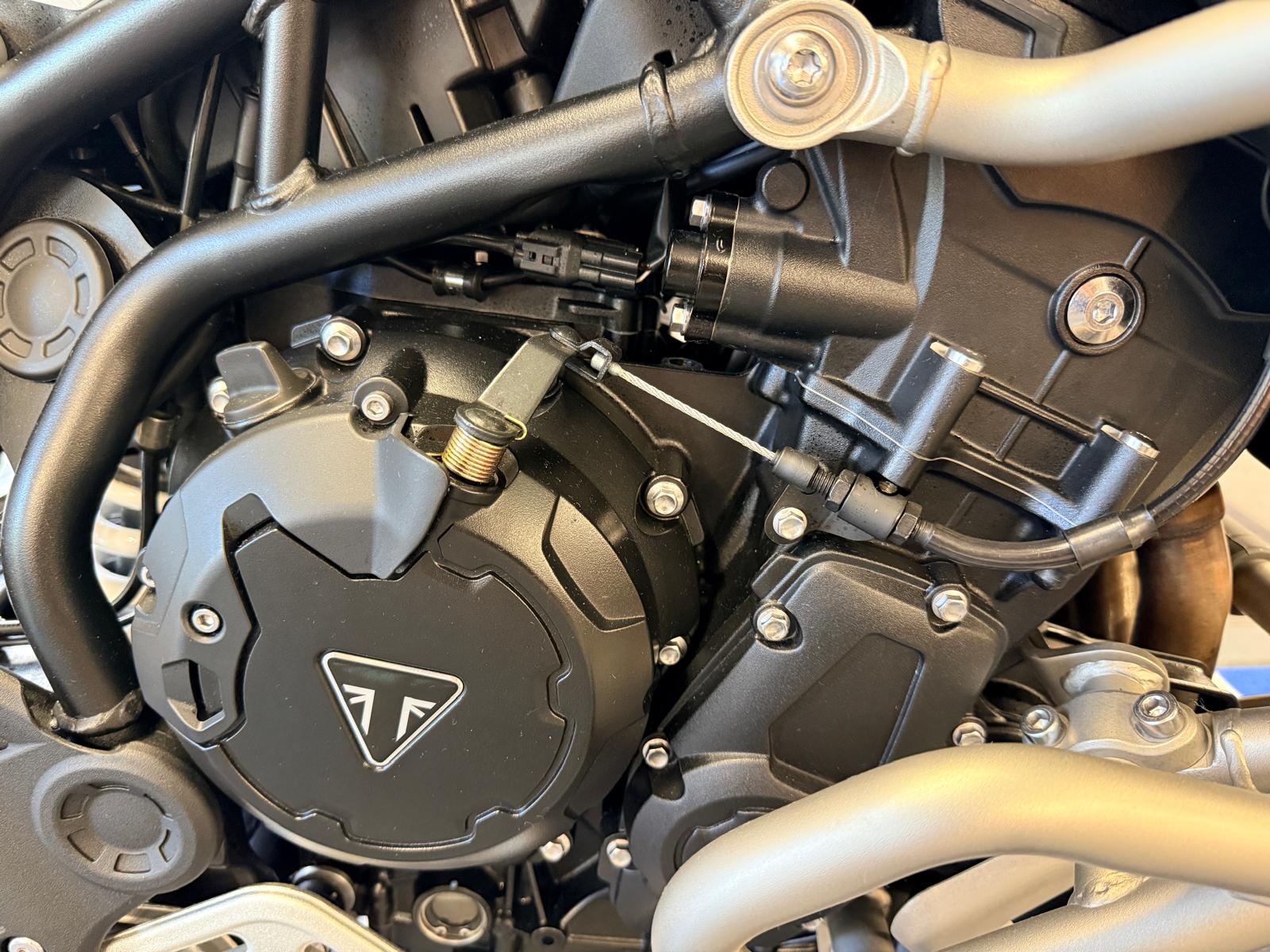 Tiger 900 Rally Pro (888cc) 2023