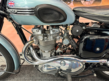 T120 TR6 Trophy-Bird (649cc) 1956