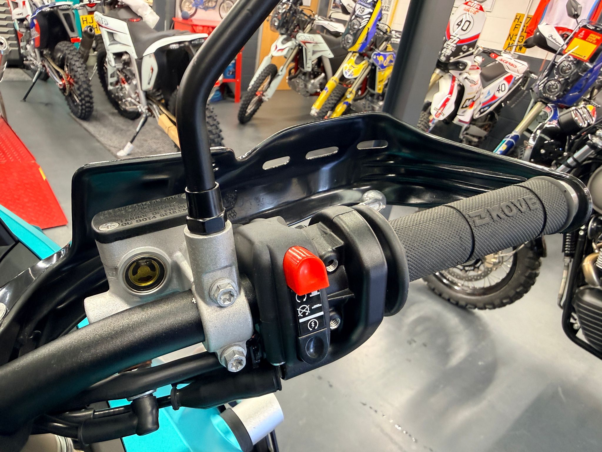 800 X Rally (799cc) 2026