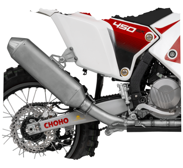 450 Rally EX (449cc) NEW