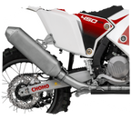 450 Rally EX (449cc) NEW