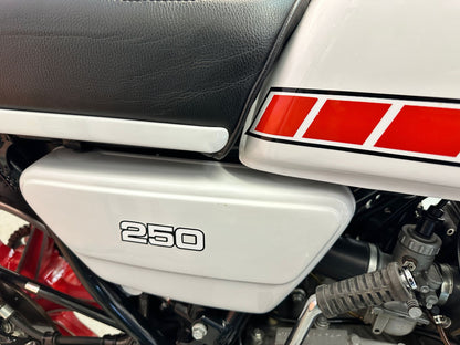 RD250 (247cc) 1980
