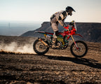 450 Rally EX (449cc) NEW