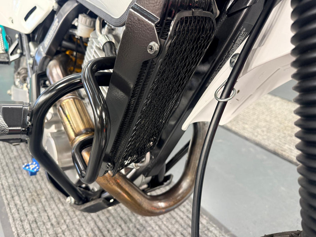 DR 650 Dual Sport (790cc) 2025