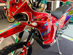 450 Rally Hologram Edition (449cc) 2026