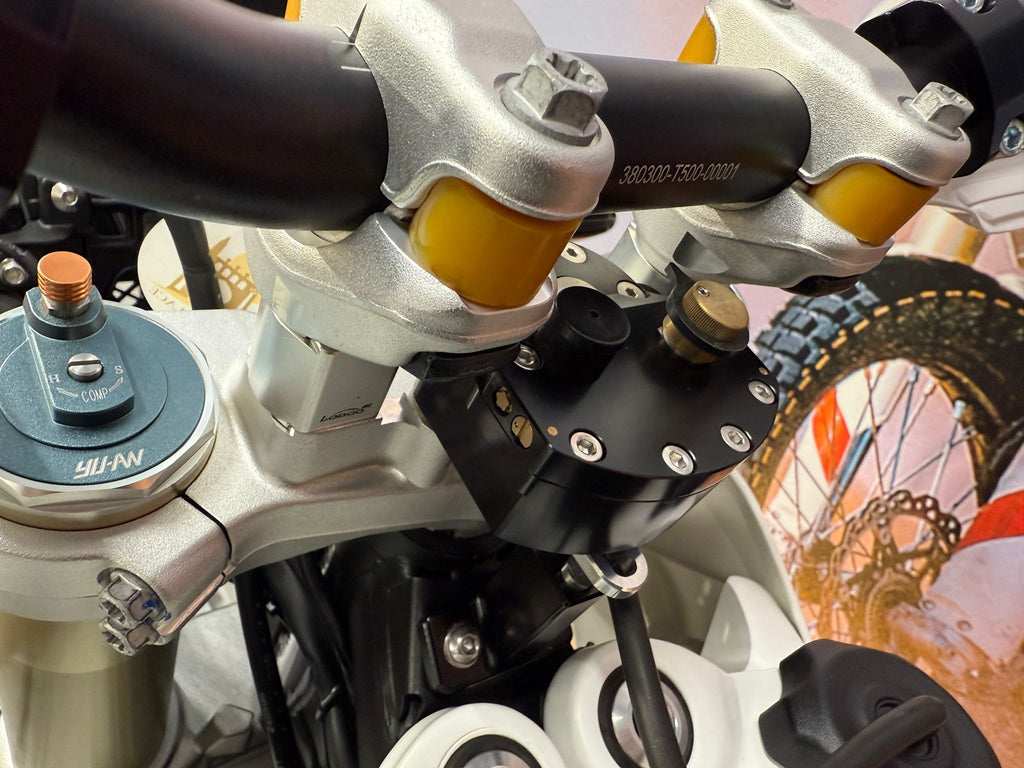 450 Rally (449cc) 2025