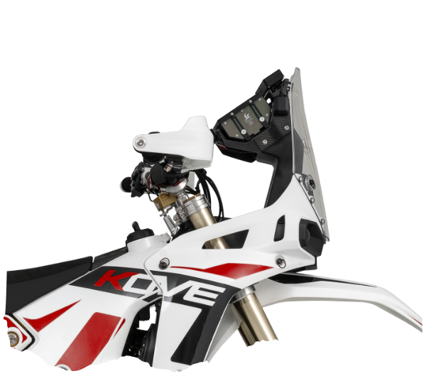 450 Rally EX (449cc) NEW