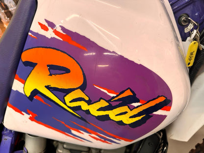 TT-R 250 Raid (249cc) 1994