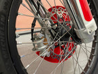 450 Rally Lucky Explorer (449cc) 2025