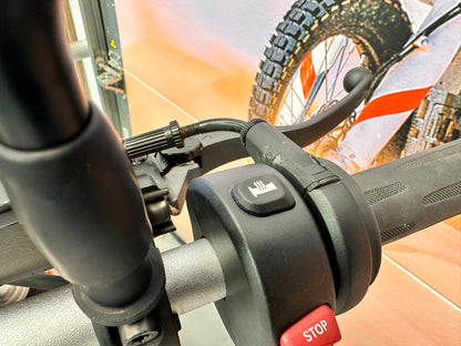 R Nine T Urban GS (1170cc) 2019