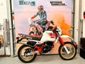 XT600 Tenere (595cc) 1984