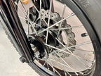 XVS 950 XR-A - SCR 950 (942cc) 2020