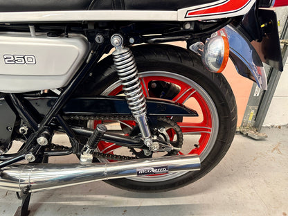 RD250 (247cc) 1980
