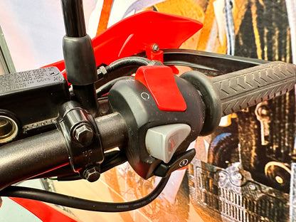 CRF 300 Rally (286cc) 2021