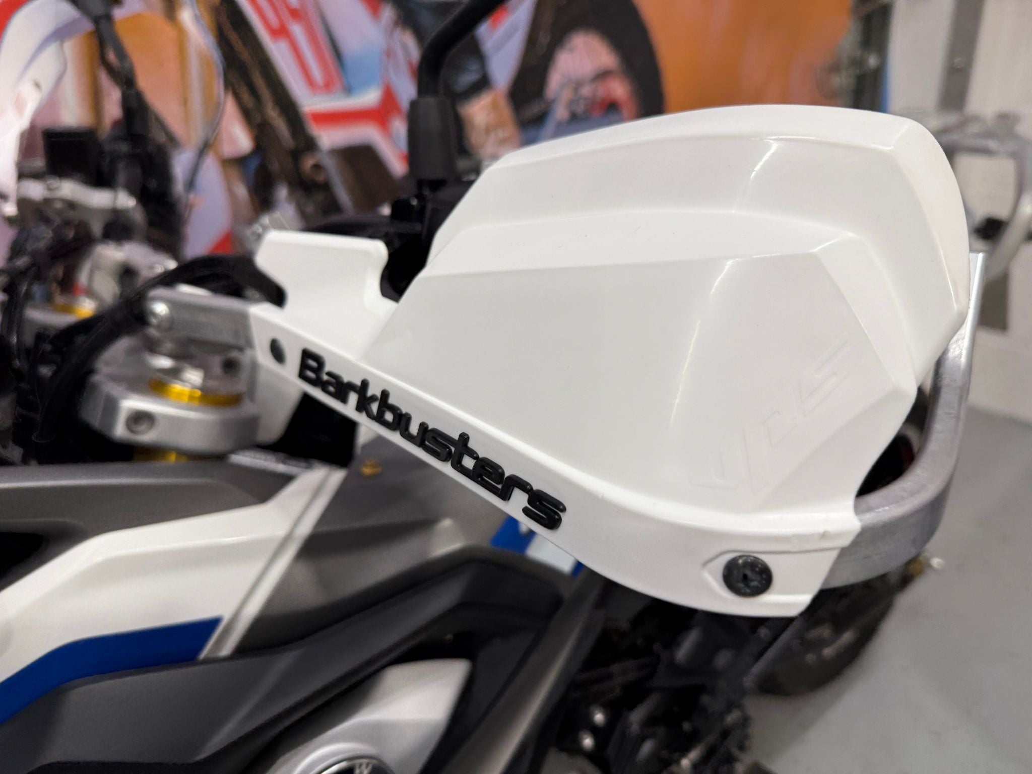 G310 GS (313cc) 2018