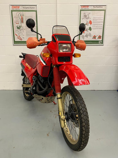 OR 600 Atlas (571cc) 2022